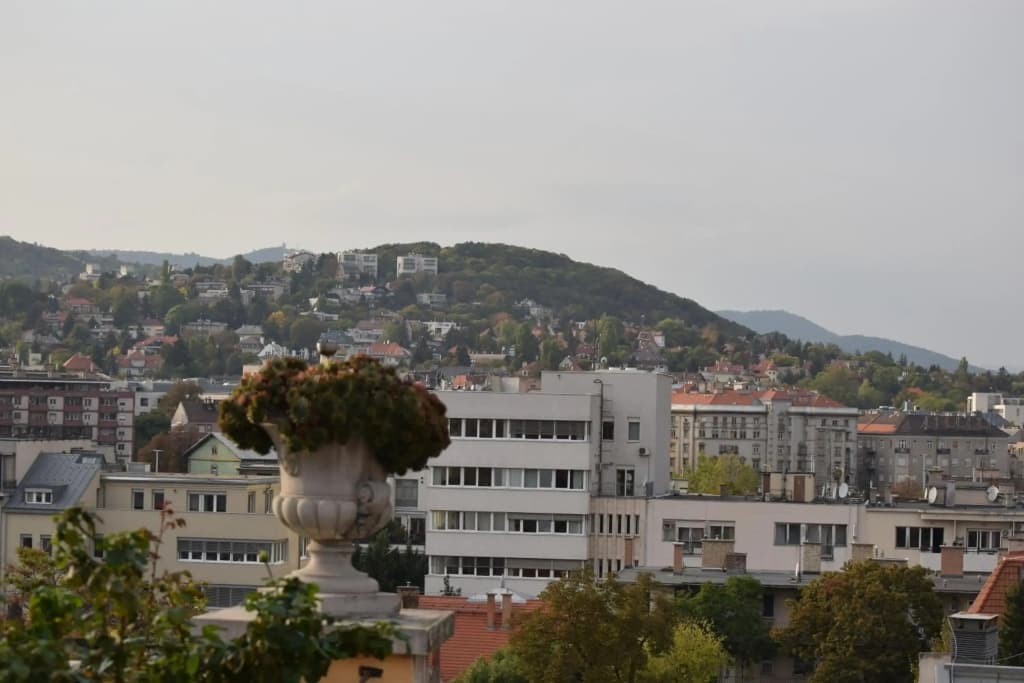 Panoramic Apt. near Chain Bridge - photo 11