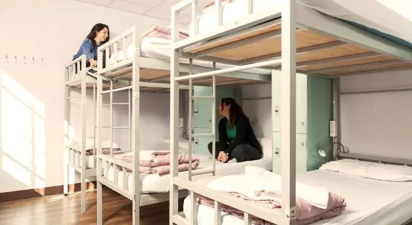 Cat's Hostel - photo 14
