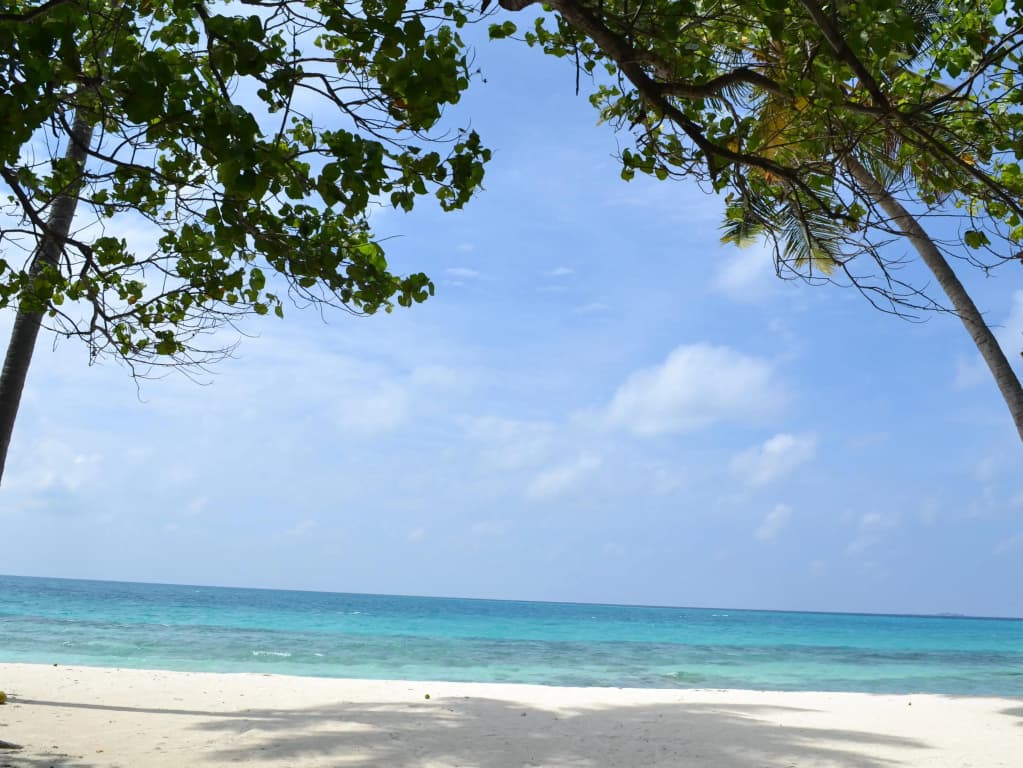 TME Retreats Dhigurah - photo 22