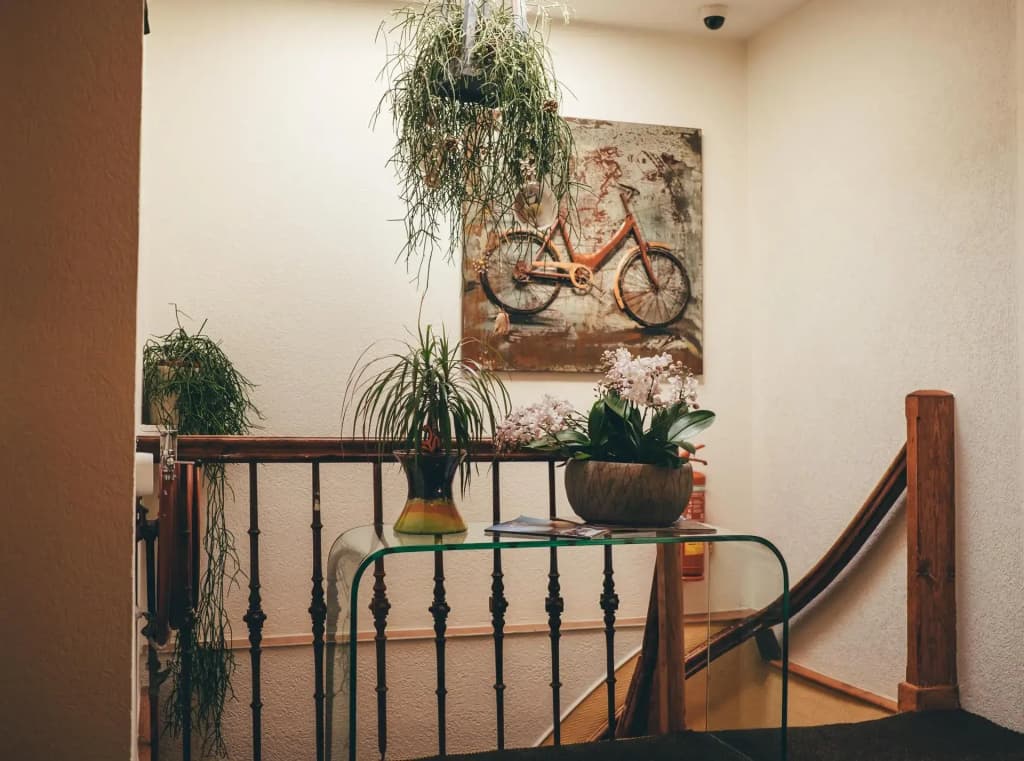 Hotel Jupiter - photo 15