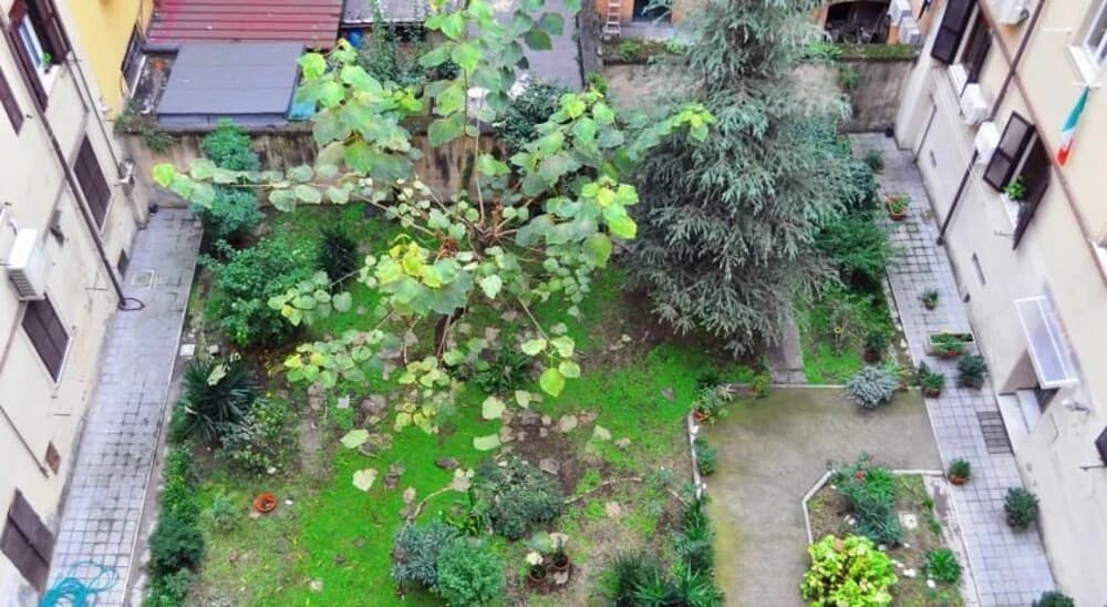 Blue Rain Guest House - photo 12