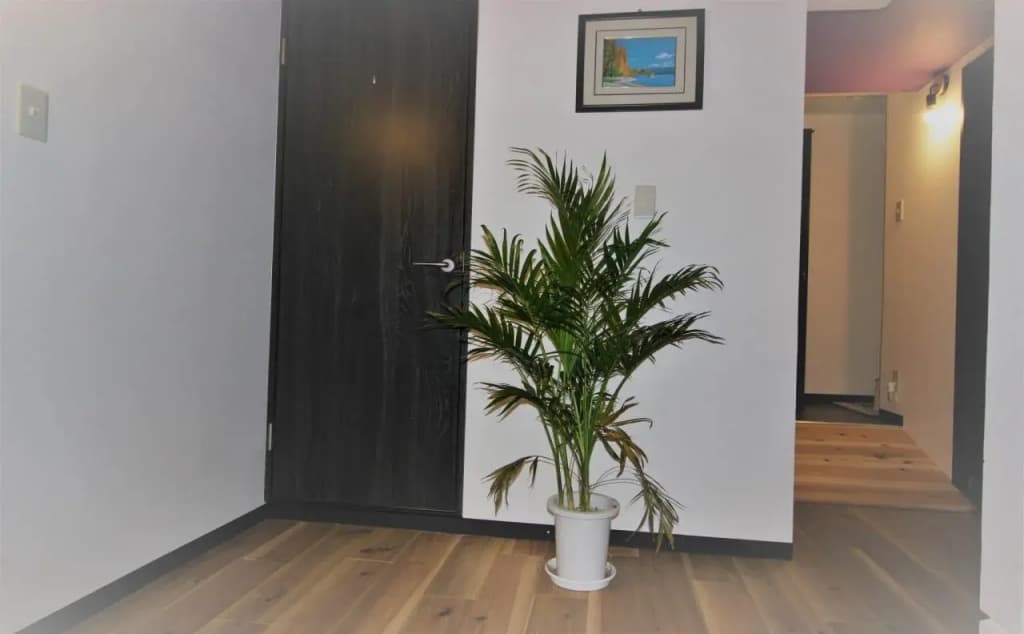 Nakayama Guesthouse - photo 12