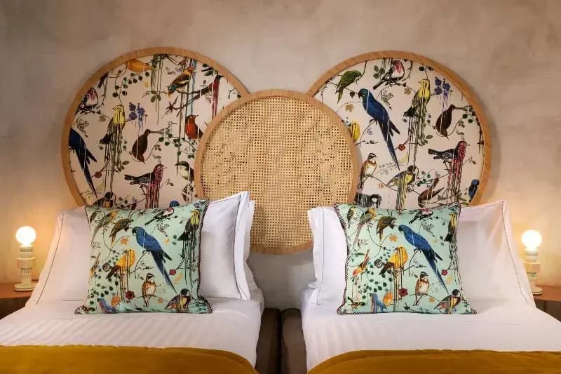 Manfredi Palm Suites - photo 5