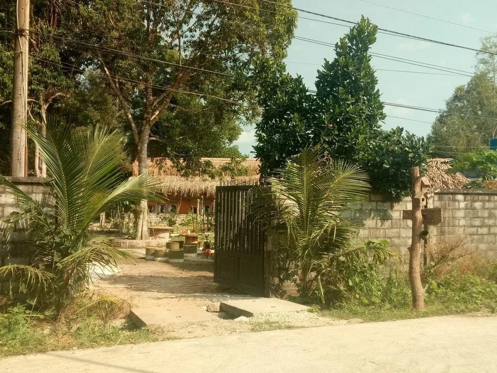 The Birdhouse - photo 9