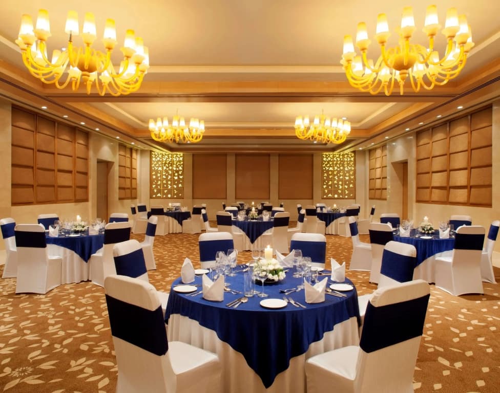 Radisson Blu Hotel New Delhi Dwarka - photo 14