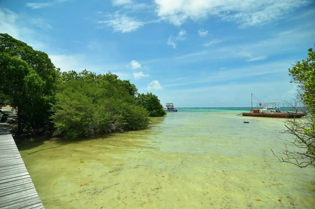 Huraa East Inn - photo 11
