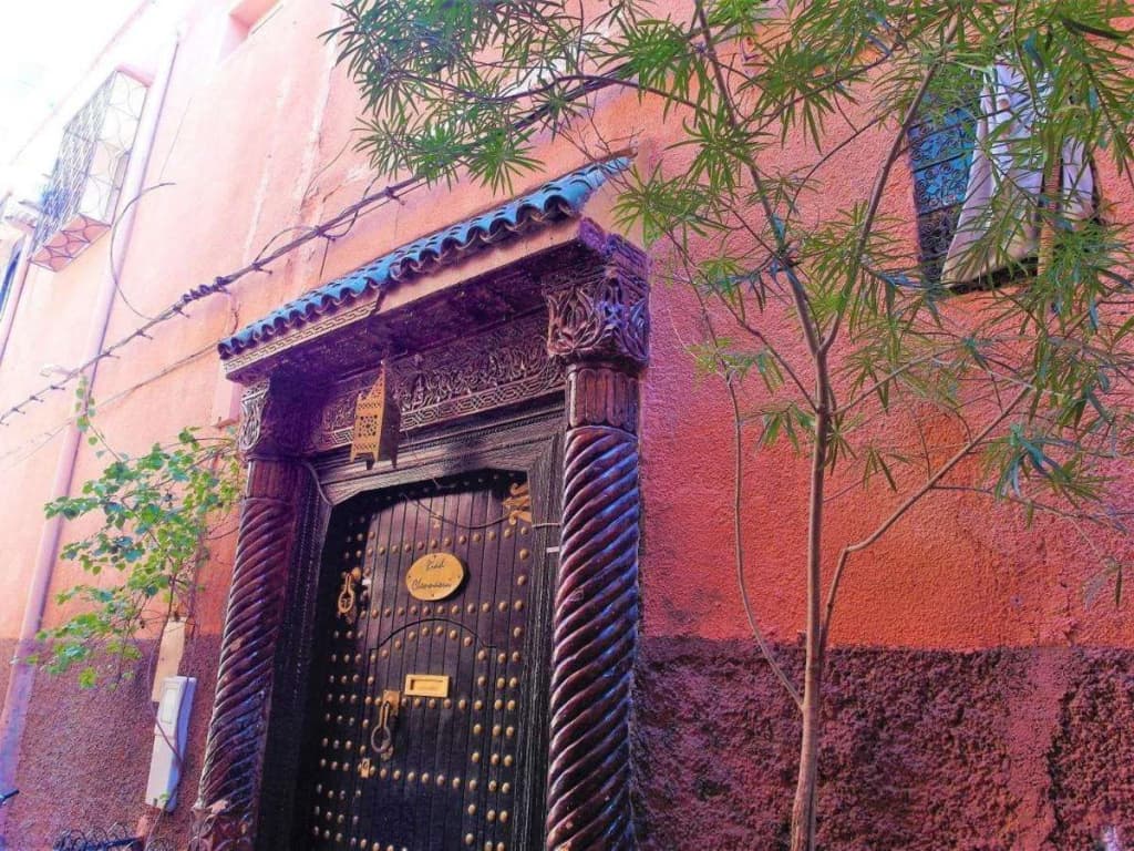 Riad Chennaoui - photo 9