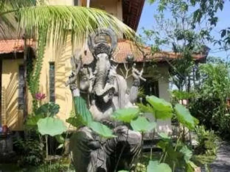 9th House - photo 4