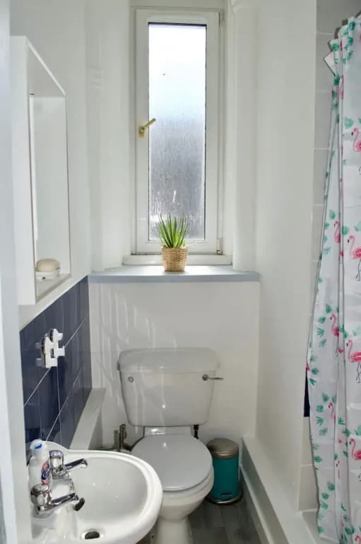 Bright 1 Bedroom Flat Near Leith - photo 9
