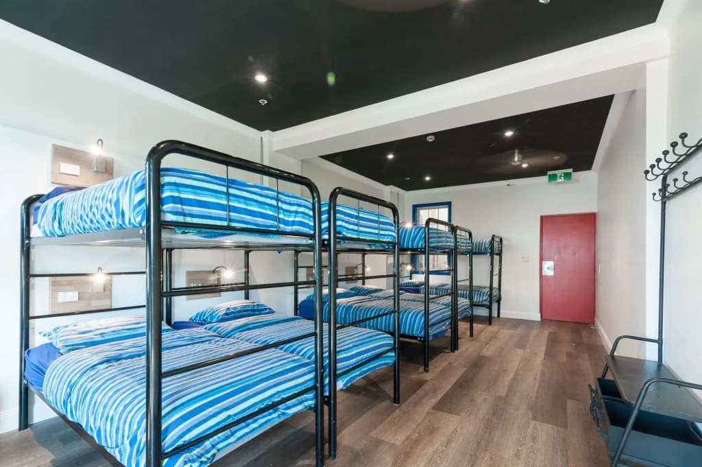 Mad Monkey Coogee Beach Hostel - photo 5