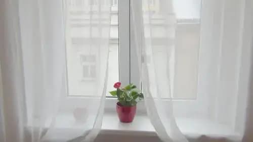Best Residence Palmovka - photo 5