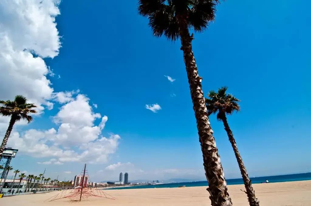 Barceloneta Suites Apartments Beach - photo 8