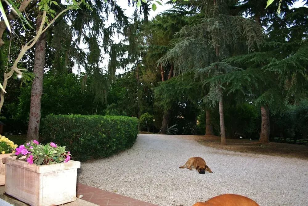 Green Oasis B&B - photo 2