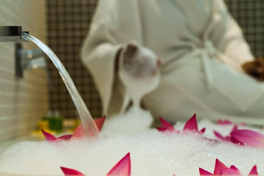 Hotel Somadevi Angkor Boutique and Resort - photo 25