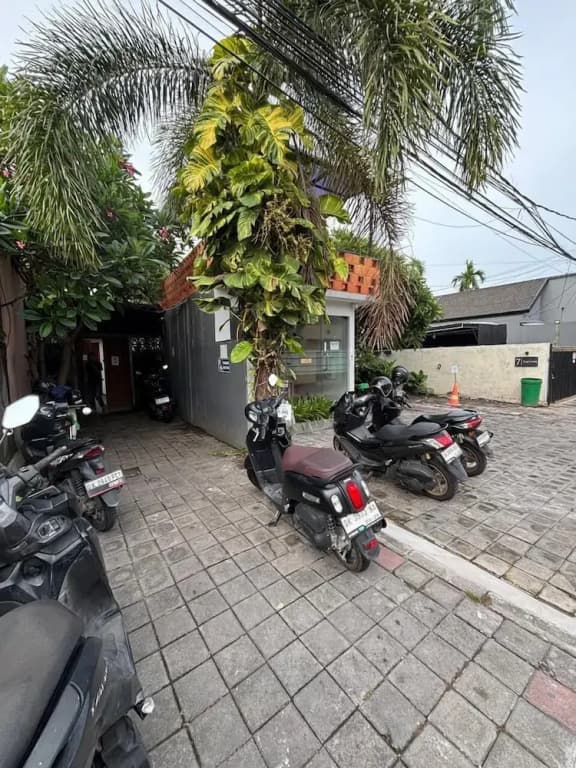 Sutji Living - photo 25