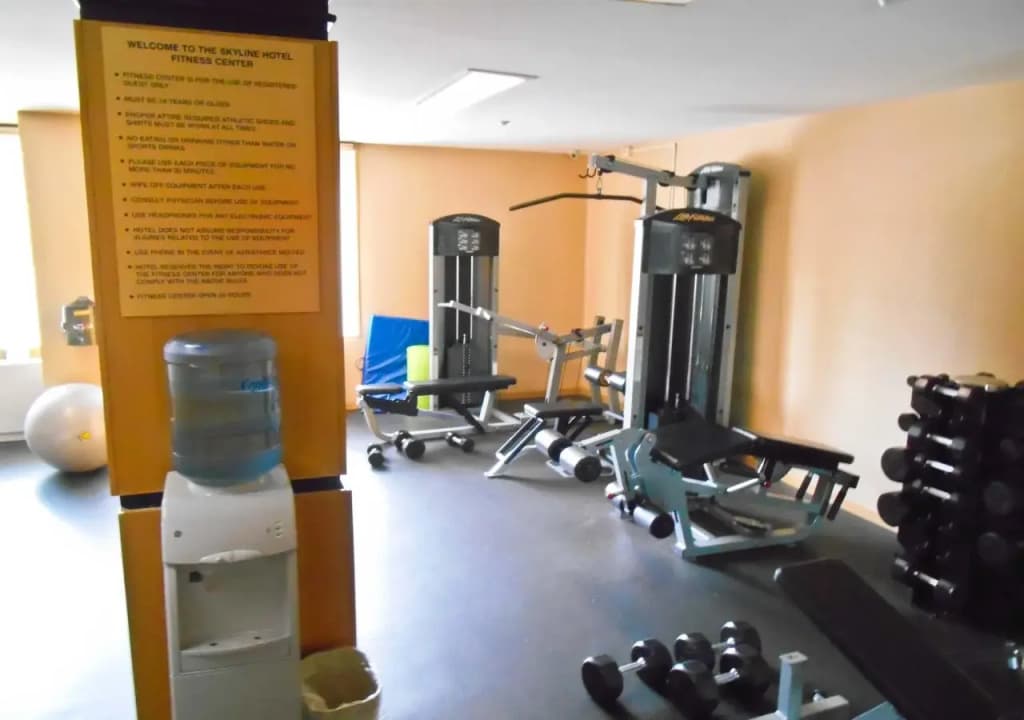 Skyline Hotel - photo 19