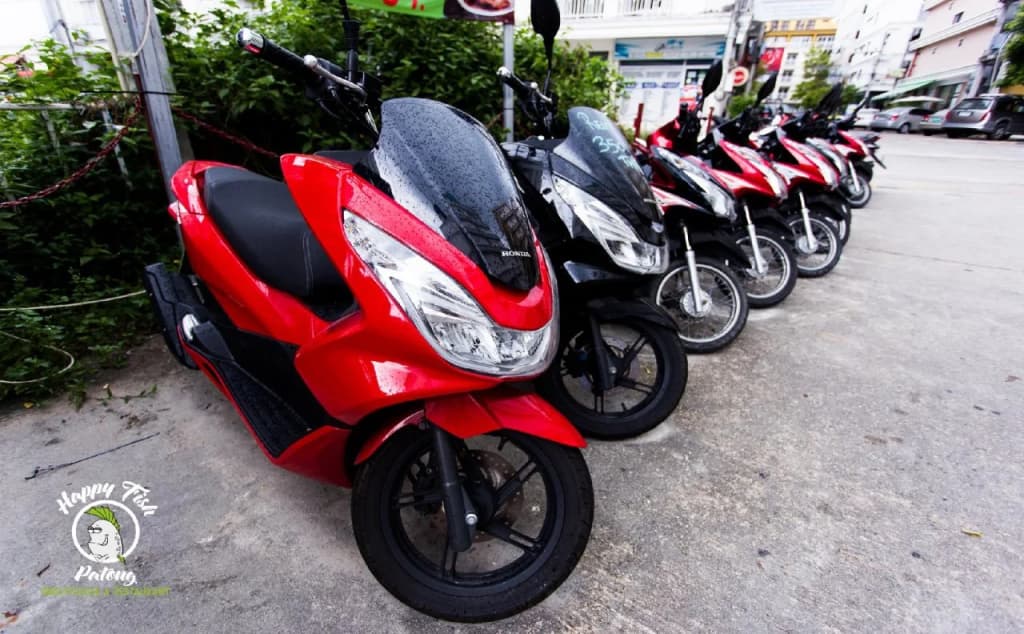 Happy Fish Guesthouse - photo 8