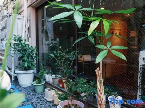 Hananoie by SunRiseStay | 10 min to Ikebukuro | 2 min Walk to Station | Great Value | Elevator - photo 2