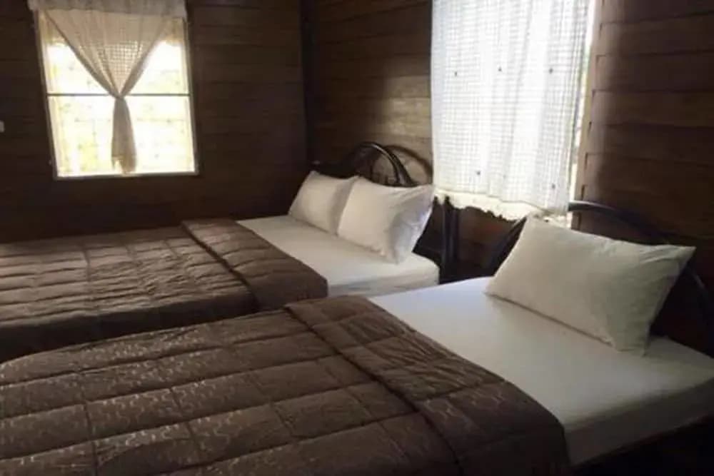 K Guesthouse - photo 4