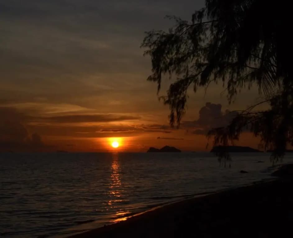 SilverMoon Beach & Jungle Resort - photo 7