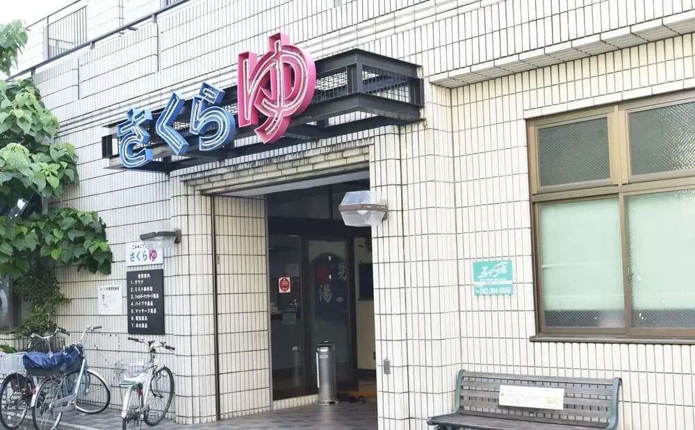 West Kumegawa - photo 29