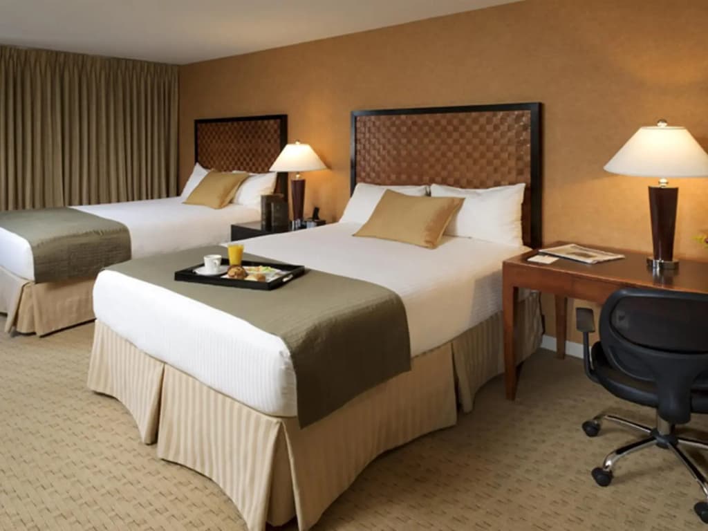 Skyline Hotel - photo 5
