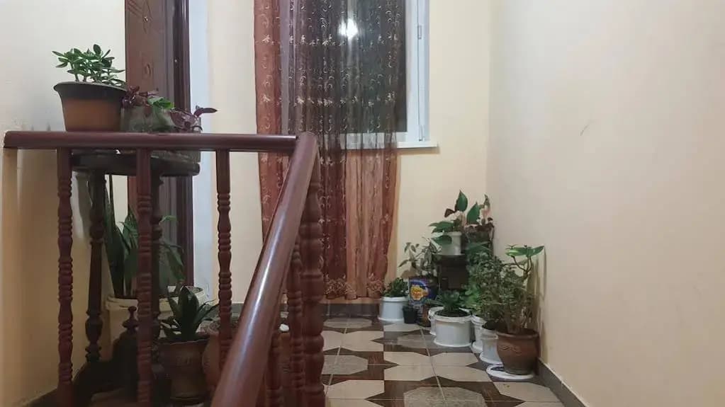 Gis Guest House - photo 9