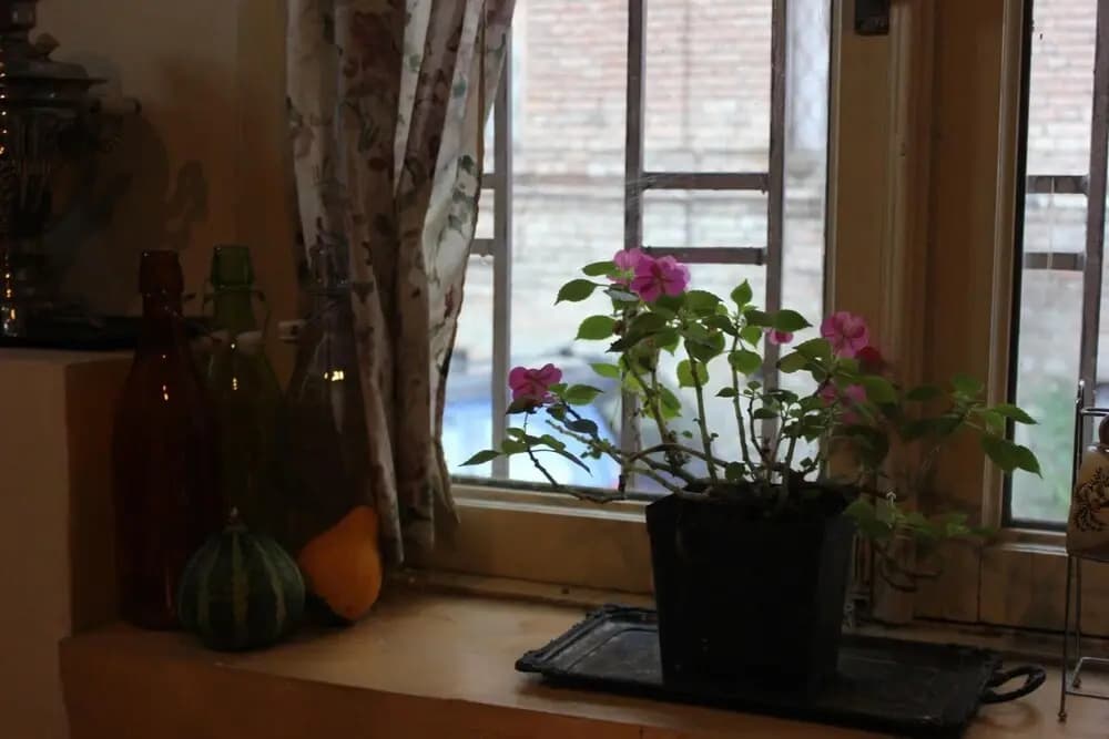 Old District Guest House - photo 11
