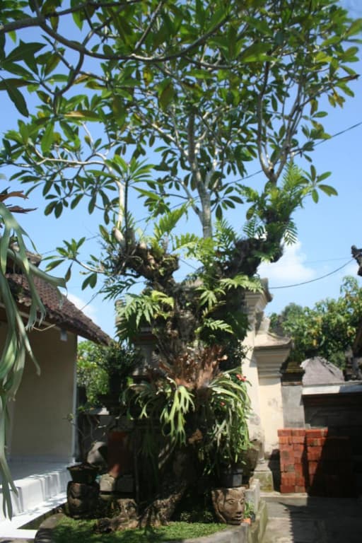 Ari House - photo 5