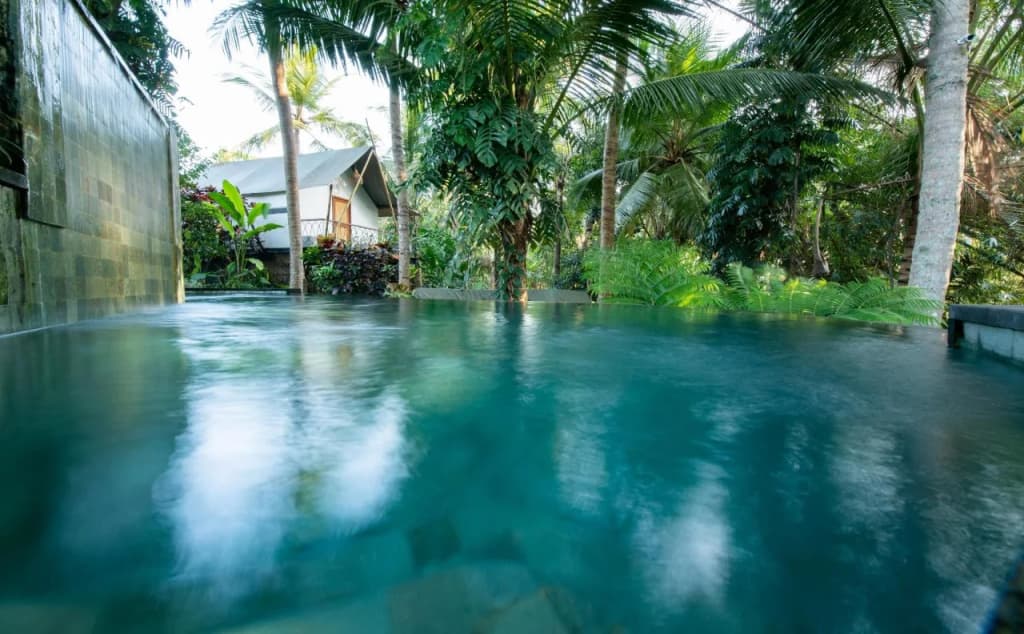 Ubud Tropical - Hostel - photo 12