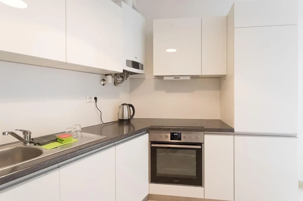 Apartment House in Vienna - photo 14