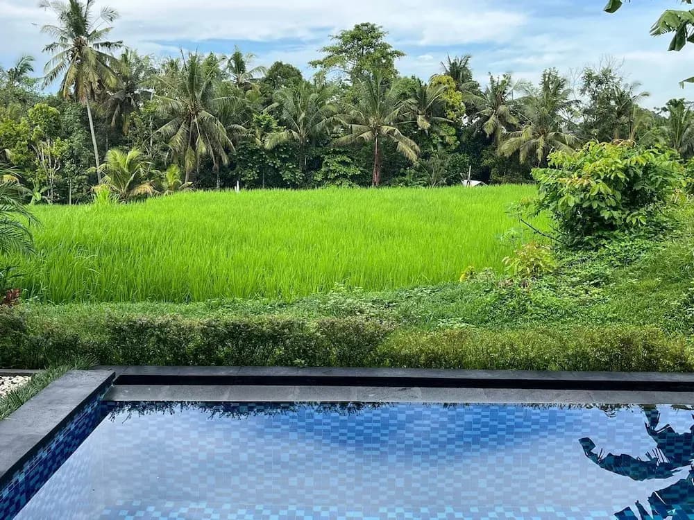 Maple Ridge Ubud Villas - photo 16
