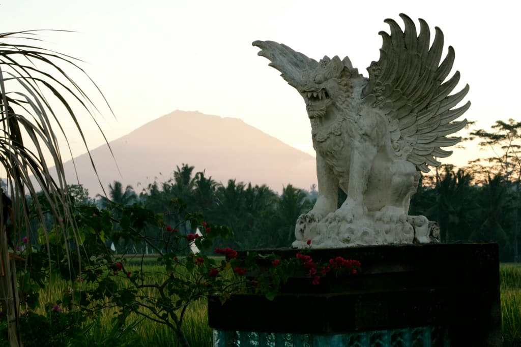 Viceroy Bali - photo 49