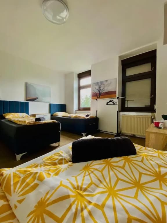 Spacious 4BR for 15 & 15 Min to Danube - photo 18