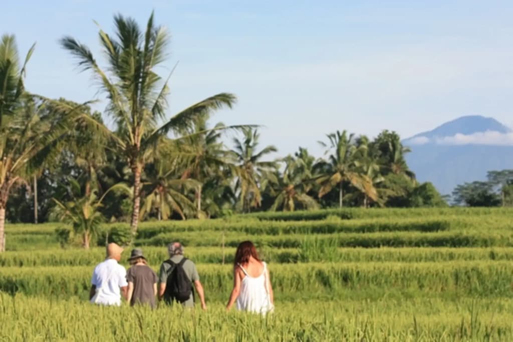 Wapa di Ume Ubud Resort & Spa - photo 26