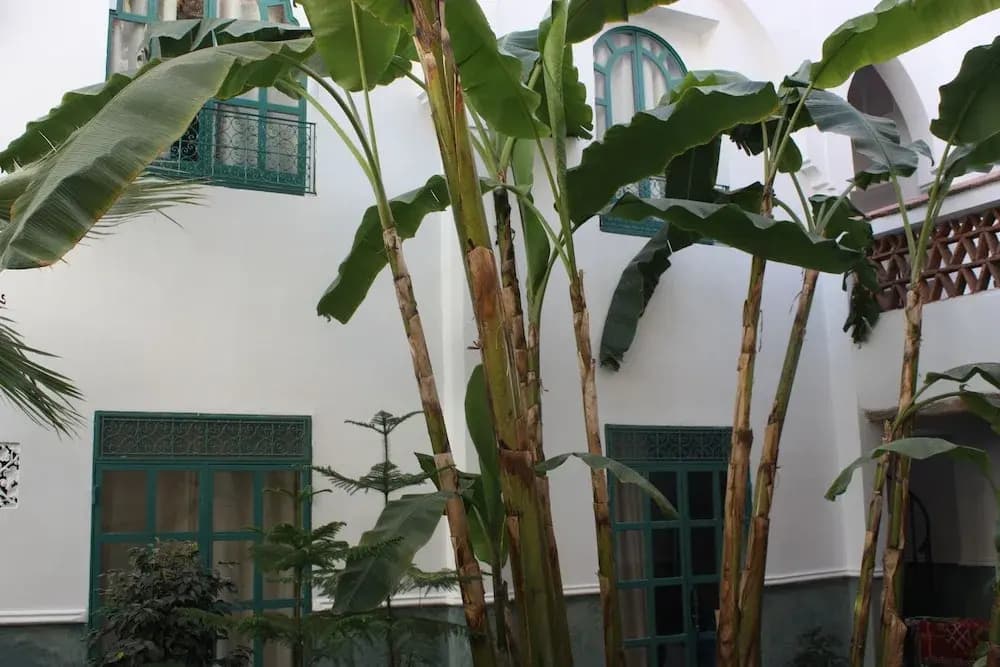Riad Concorde - photo 20
