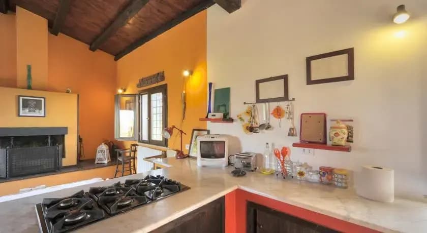 Tenuta Donna Olimpia - photo 3