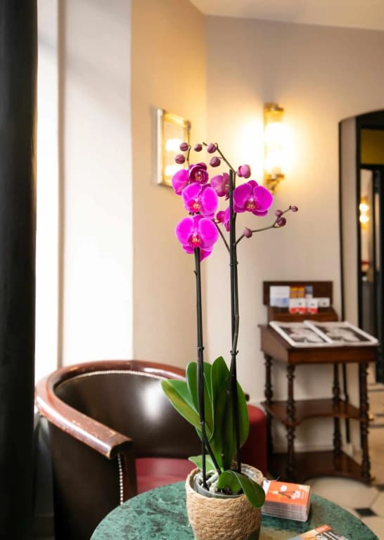 Eiffel Rive Gauche Hotel - photo 36