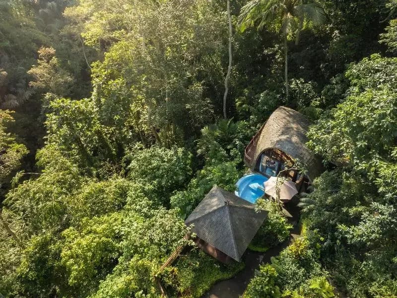 Villa Leona Valley View Ubud - photo 46