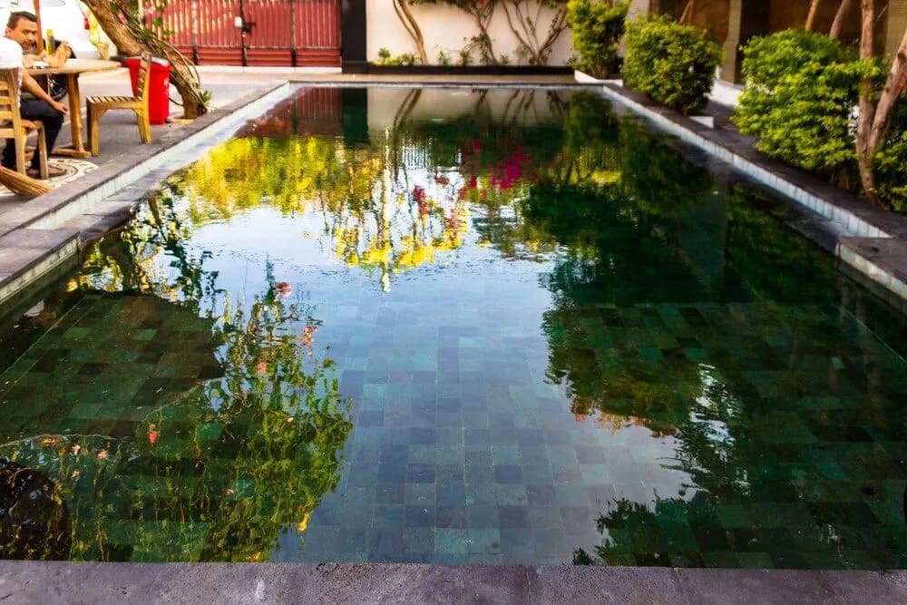 The Raja Villa - photo 5