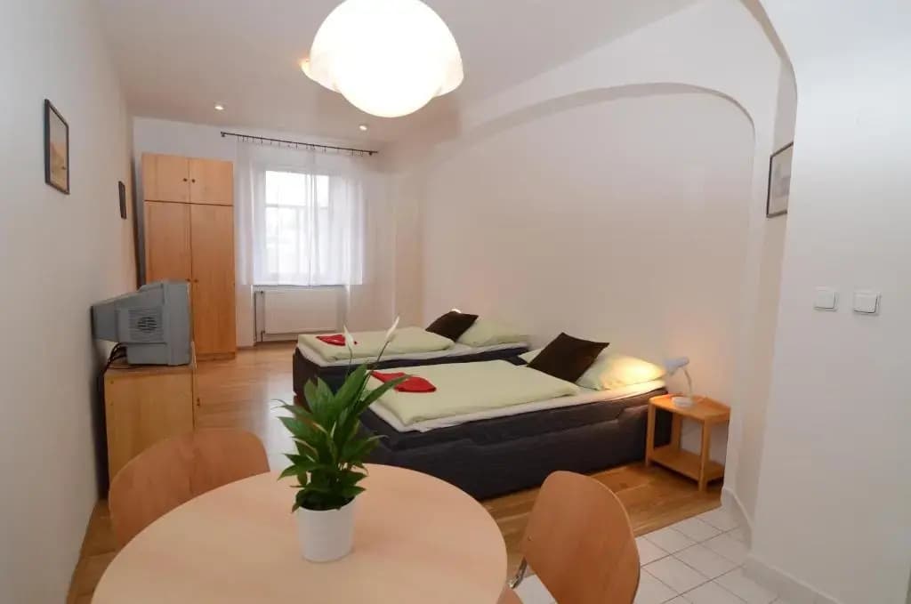 Apartments Karlin - photo 11