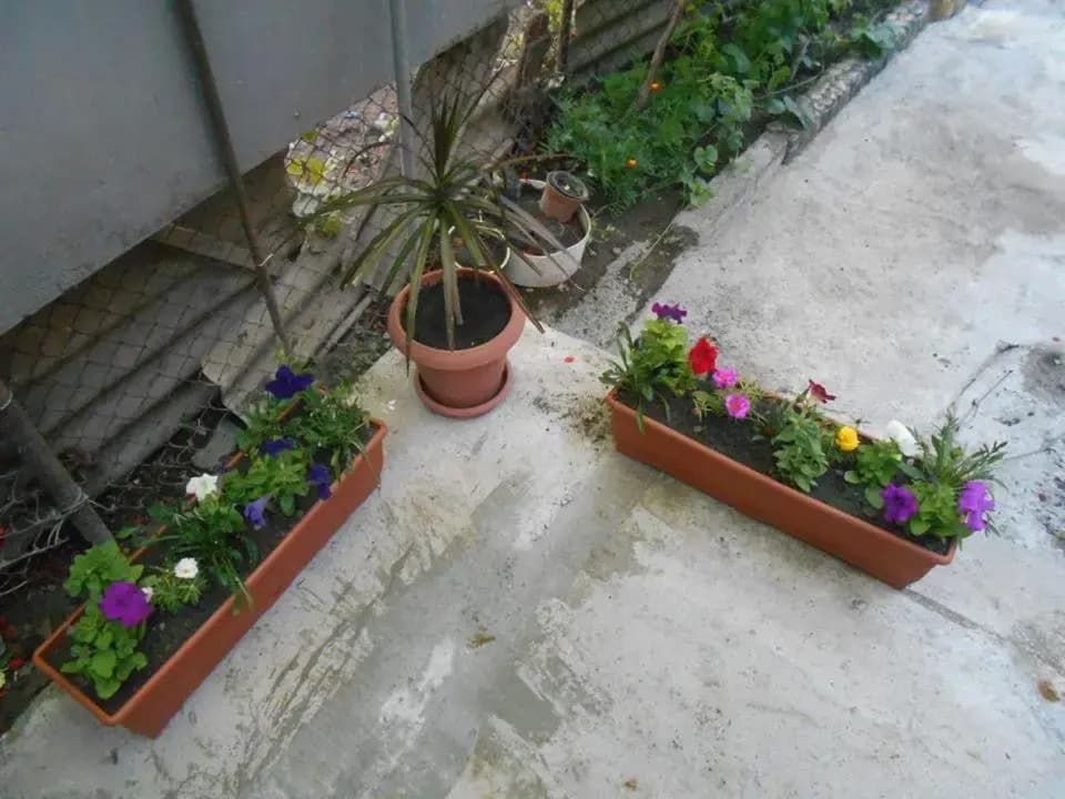 Guesthouse on Benashvili - photo 10