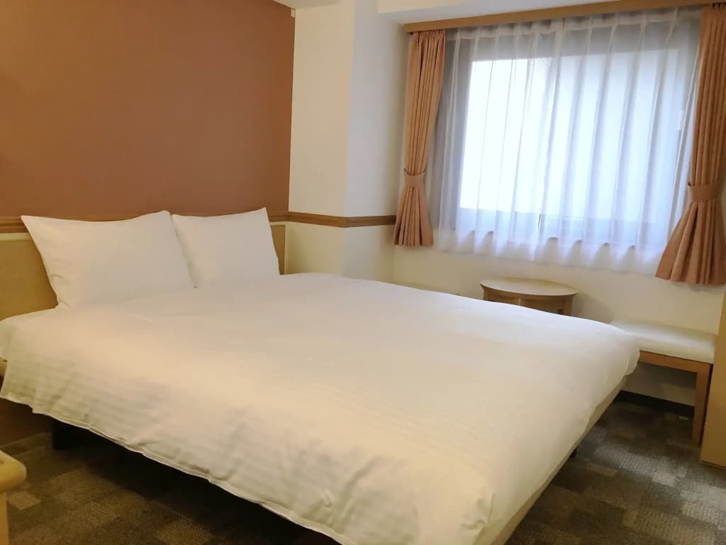Toyoko Inn Osaka Temmabashi Otemae - photo 1