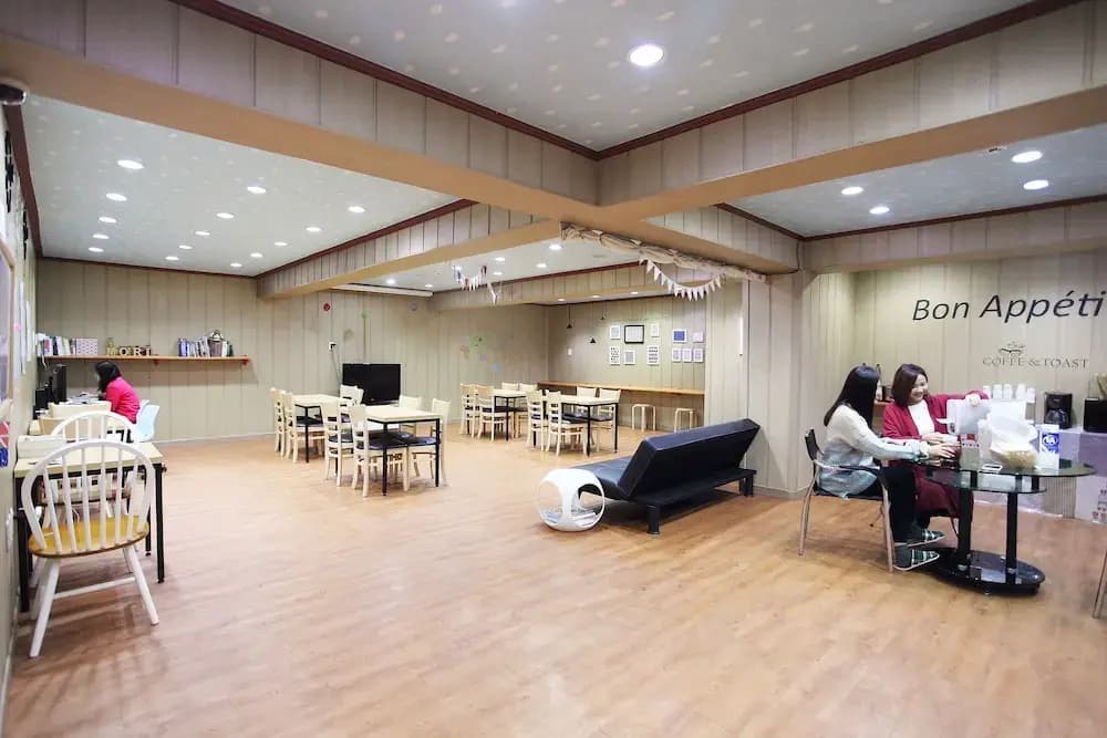 Mori Guesthouse - Hostel - photo 24