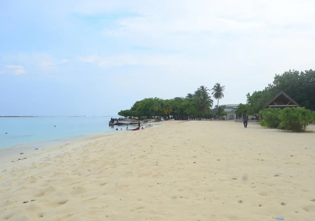 Gurus Maldives at Gulhi Island - photo 10