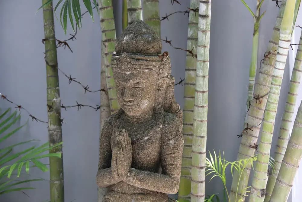 Yoga Villa - photo 22