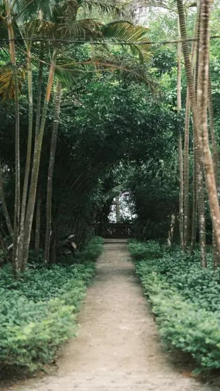Yen Bai Resort - photo 10
