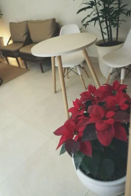 Lyn House - photo 14