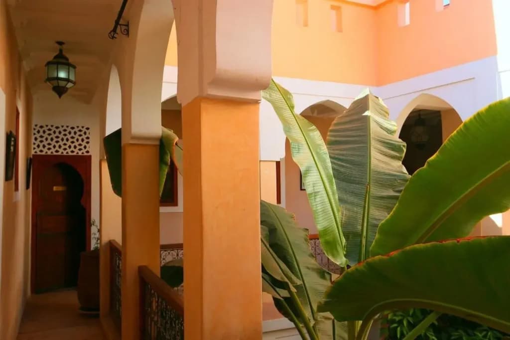 Riad Sidi Mimoune - photo 19