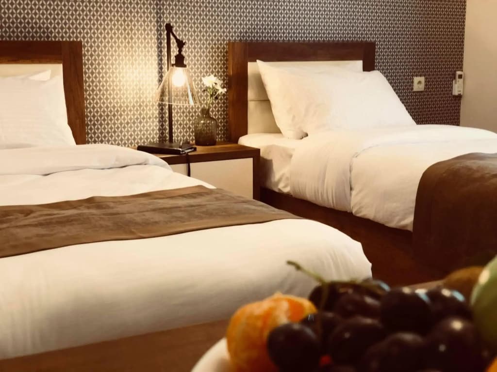 Hotel Amser - photo 4